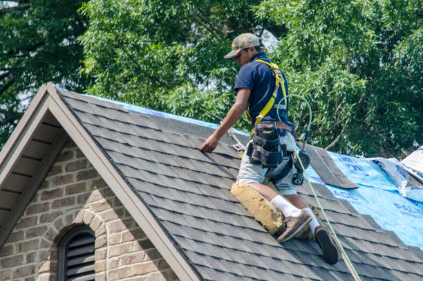 Best New Roof Installation  in Union City, TN